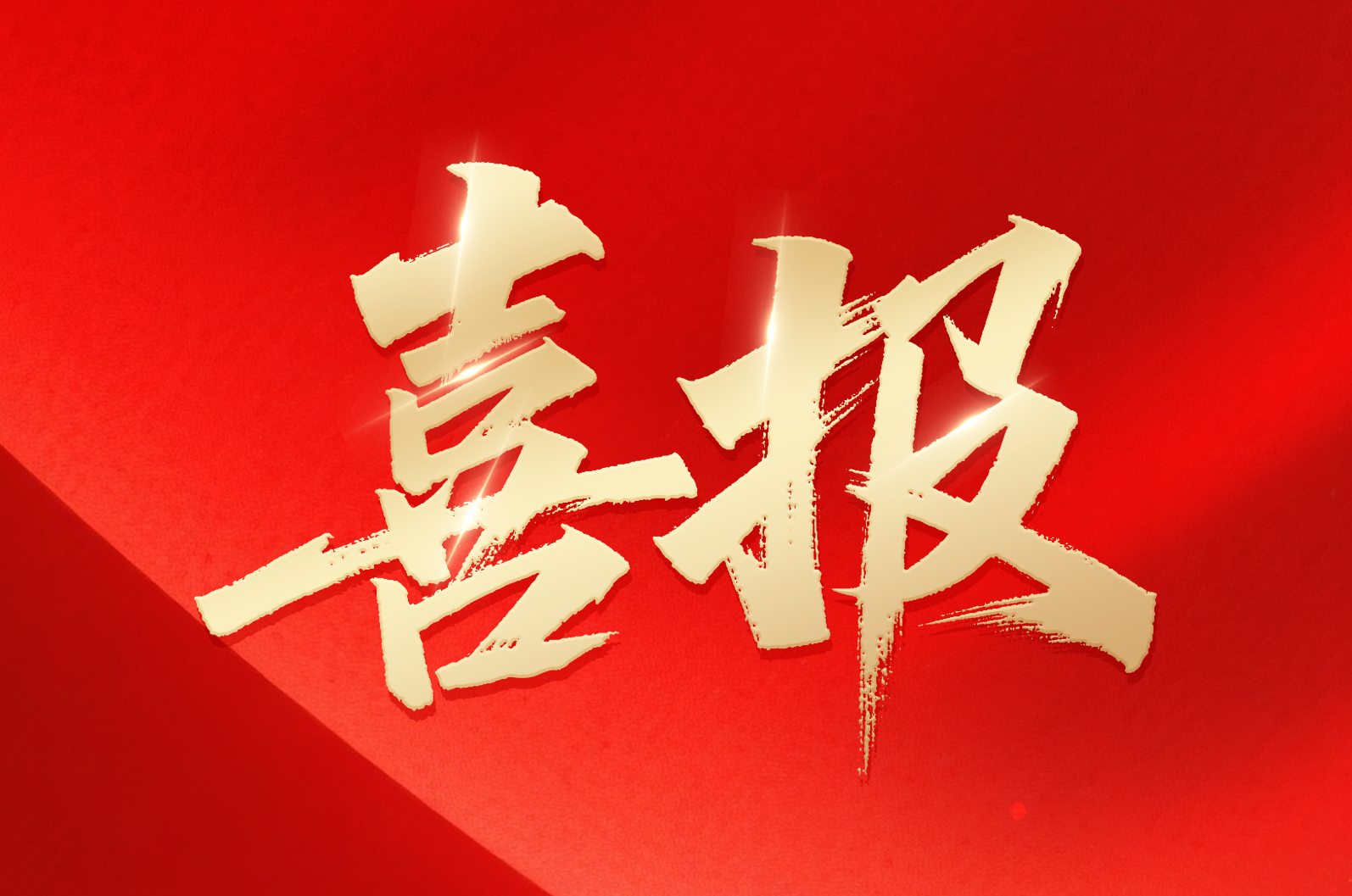 1277星际电子在线｜喜报！！公司荣获2024年拼搏奋进·衢州市长特殊奖市政府质量奖